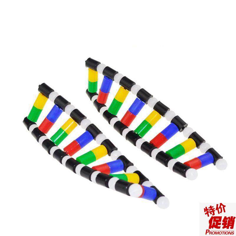 DNA模型脱氧核糖核p酸细胞核中学生物课教学器材医用碱基配对遗传