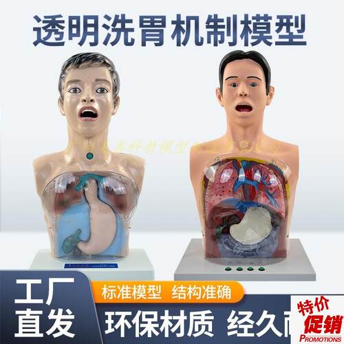 人体洗胃模型带警示透明洗u胃机制模型胃肠减压训练人体模型医用