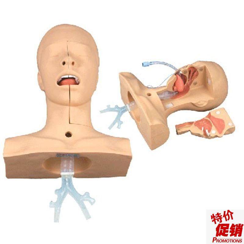 成人吸痰练习模型口鼻t腔吸痰训练模型口腔解剖演示模型,文具电教/文化用品/商务用品,模拟人,淘宝优惠券,粉丝福利购,淘宝优惠卷