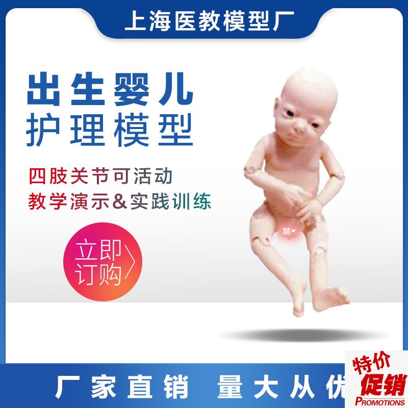 高端关节螺丝q出生婴儿模型四肢可活动