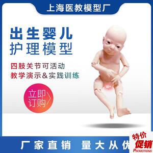 高端关节螺丝q出生婴儿模型四肢可活动