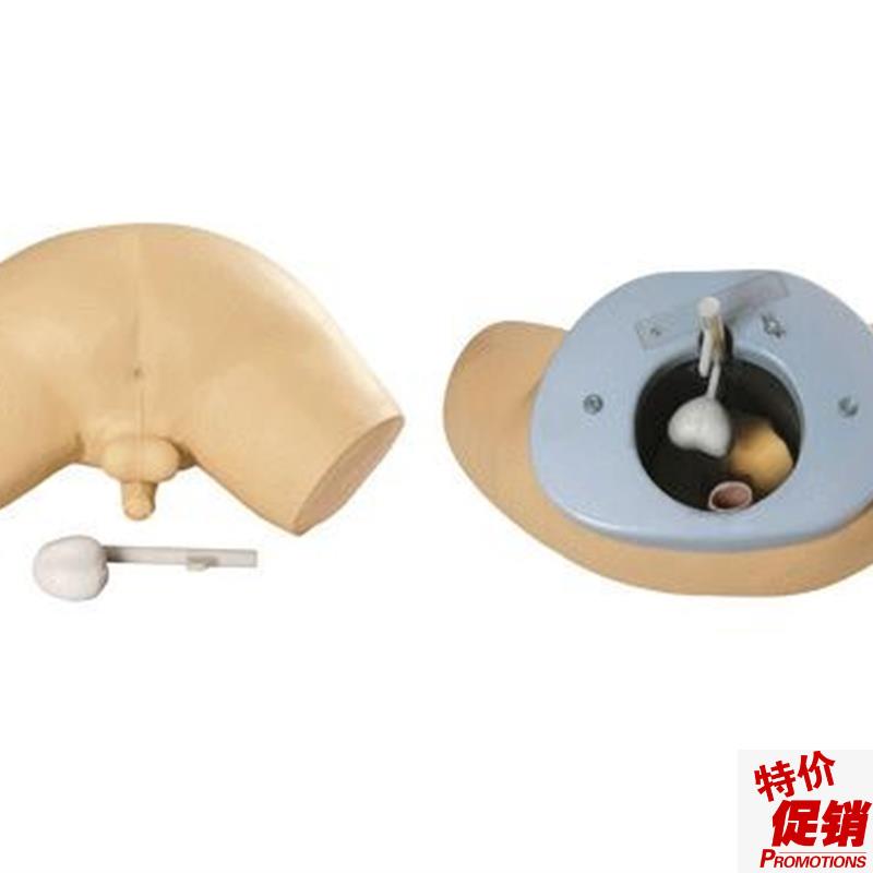 前.列腺检查模l型人体前列腺检查教学模型前列腺培训模型