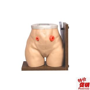 造口模型高e级瘘管造口术护理模型结肠回肠造瘘模型医学用模型