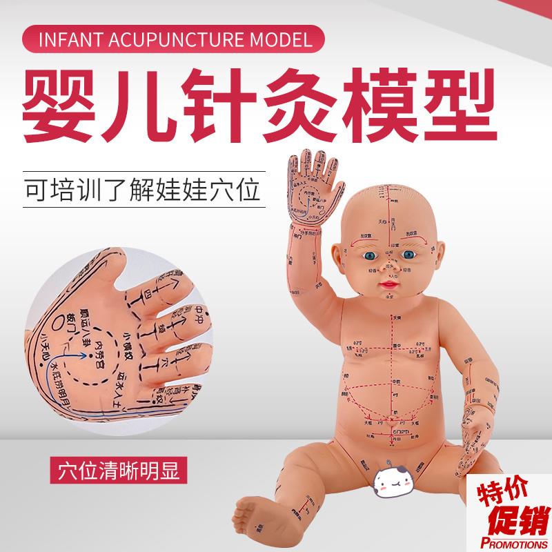 婴儿人体模型儿童娃娃人体模型针灸中医通用穴Q位小儿推拿仿真模