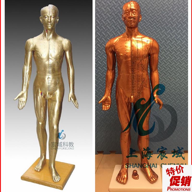 超清晰经络通j针灸铜人人体穴位模型中医针灸人模