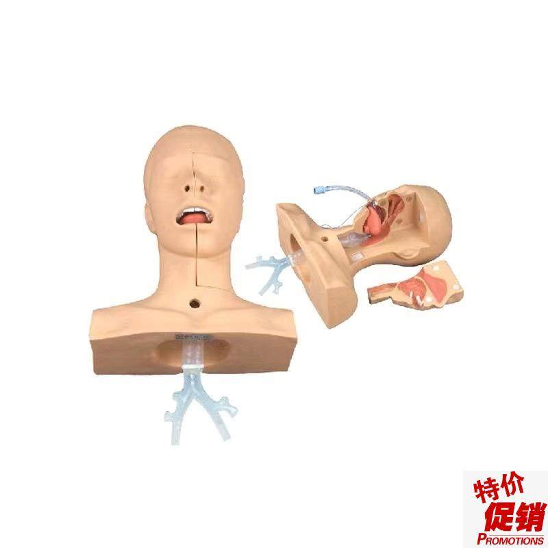 高级吸痰c练习模型鼻腔口腔插管吸引训练模型医学用操作教学模型,文具电教/文化用品/商务用品,模拟人,淘宝优惠券,粉丝福利购,淘宝优惠卷
