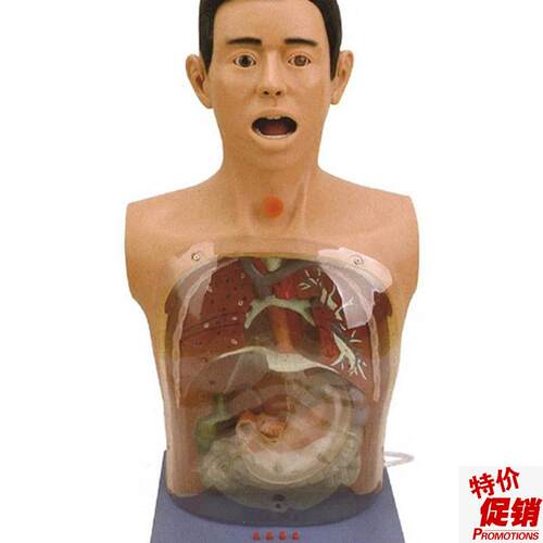 高级透明洗d胃模型带警示医学训练鼻饲气管切开护理教学模具