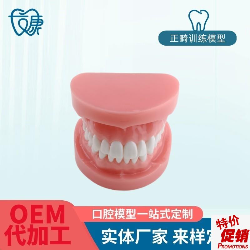正畸错位牙齿模型牙齿矫正v模型厂家直供口腔教学模型牙齿托槽矫