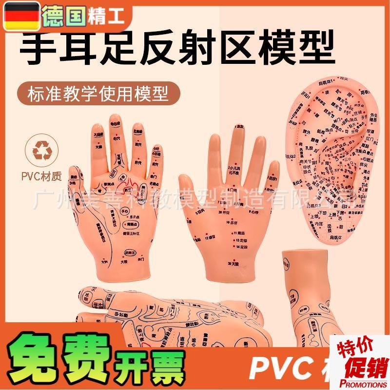针灸足底脚模反射眼睛图脚穴位模型足部底耳模耳朵手经.络手部推