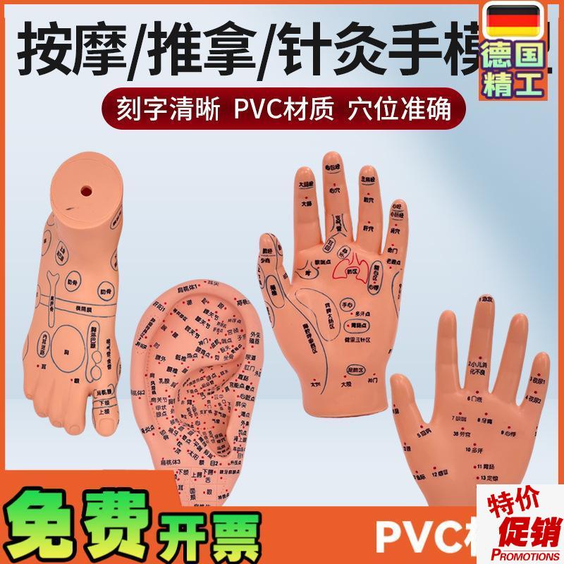 脚穴位模型足部底耳模耳朵手经络手部推拿针N灸足底脚模反射眼睛