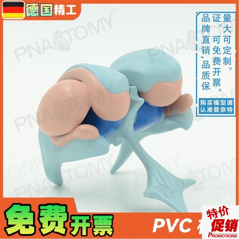 德国】大脑基地核j脑室铸型丘脑中枢神经杏仁核放大解剖模型脑科