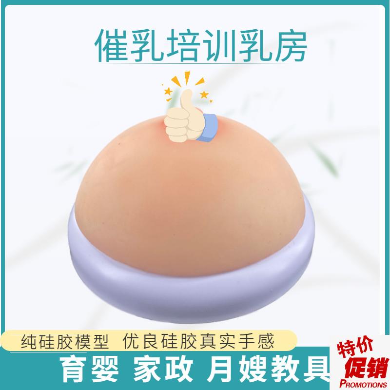 医院母乳喂d养指导教具娃娃模型假胸假乳房模型准妈妈产前练习宣