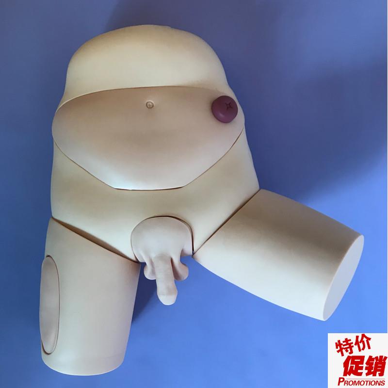 厂家直销男性女性护理导尿z示教模型尿道排液教学练习模具