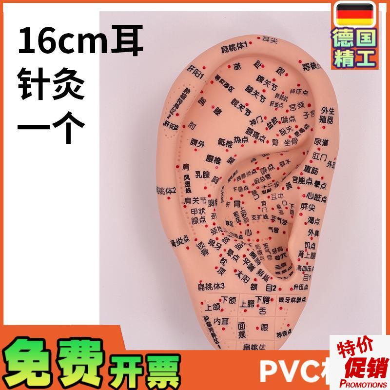 超清晰多穴位g刻字耳穴模型耳部针灸穴位模型耳朵耳廓按摩理疗16c