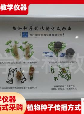 植物种子传e播标本高档新款摆件幼儿园小学教学科学科普自然教材