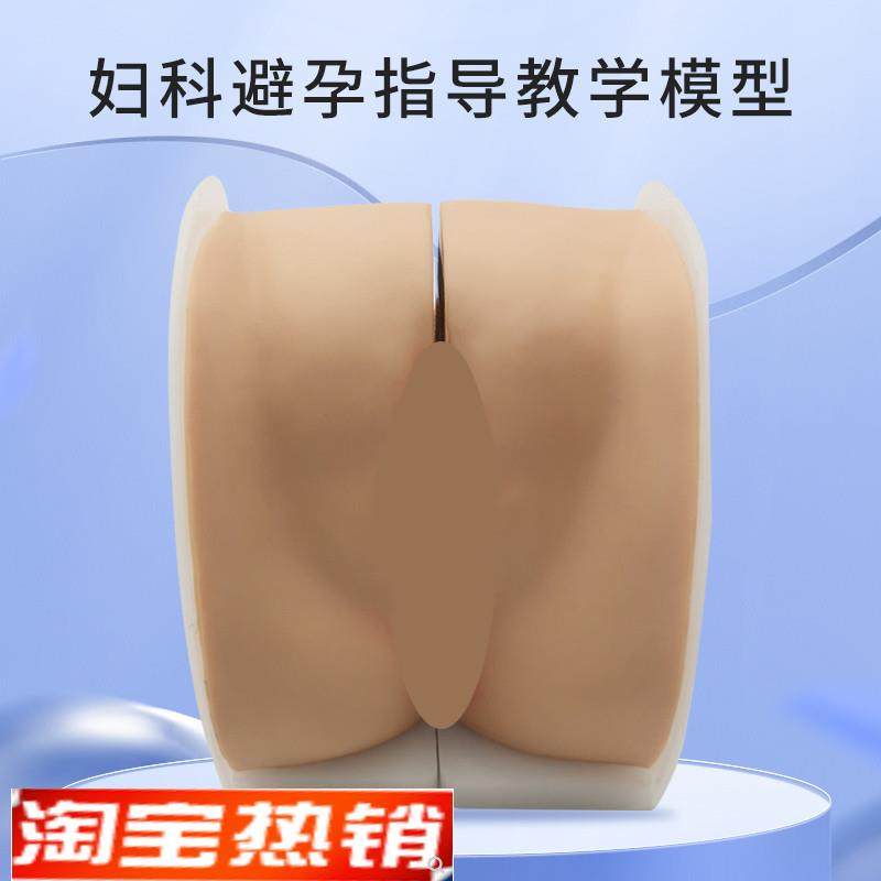 女性生殖器模型宫颈子宫阴道卵x巢妇科检查生殖私密教学1比1软硅