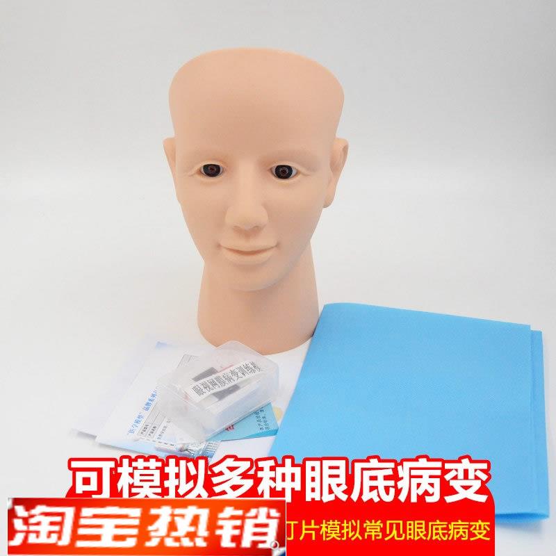 眼视网膜病变检查l模型眼底检查病变诊断技巧教具视网膜模型