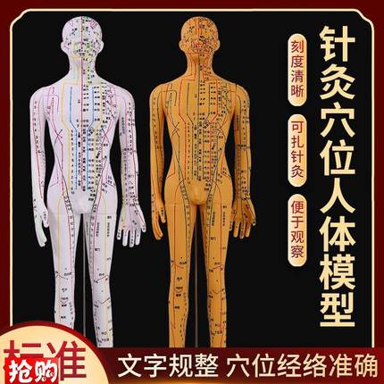 全铜色人体针灸模型人经络穴位中医全身十二铜人模特图Z可扎针练