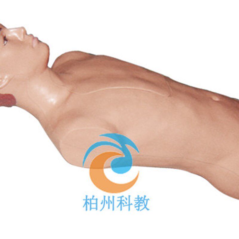 腹腔穿刺模型腹部l移动性浊音叩诊训练模型医学用腹部穿刺模拟人