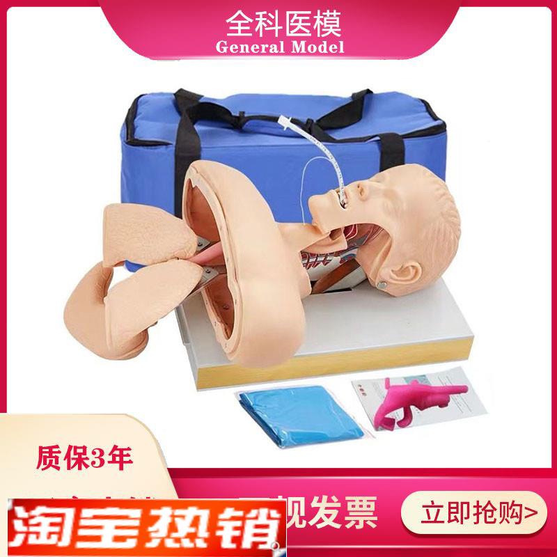 GM/J50高级人体气管插管训练模型成人口R鼻气道管理急救模具