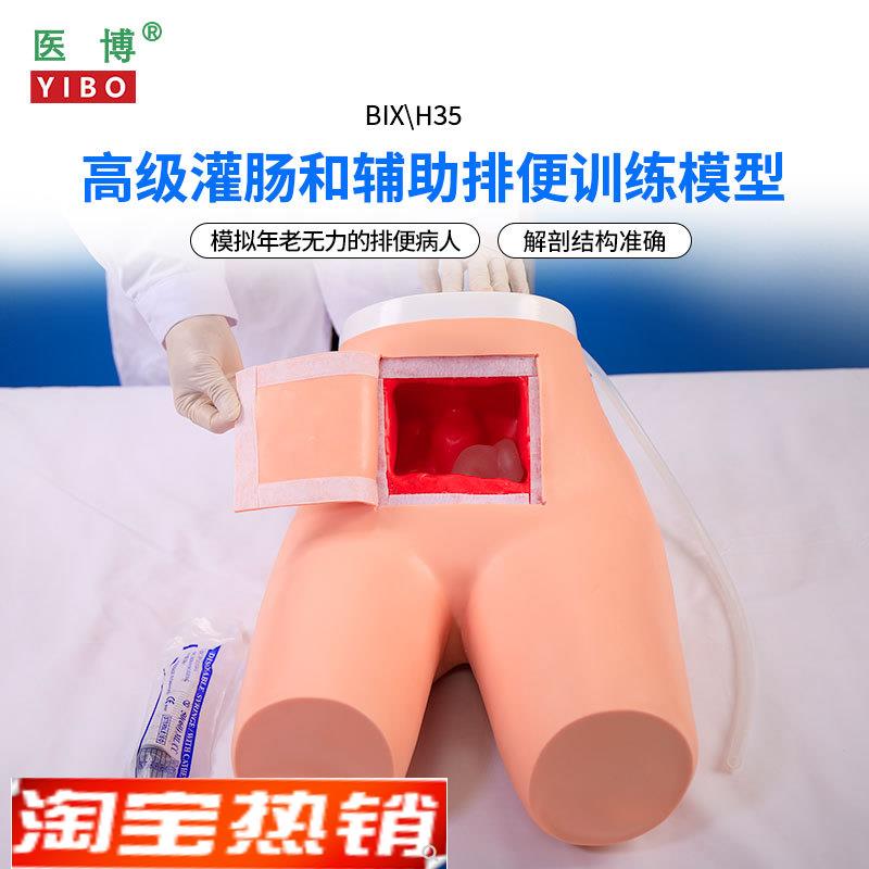 医博BIX-H35高级灌肠模s型辅助排便和及灌肠训练习模型医学用灌肠