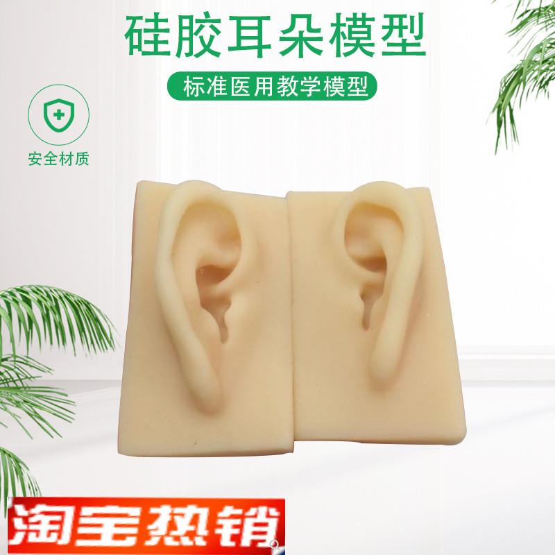 硅胶耳朵模型软TPRq耳朵模型厂家供应仿真人耳助听展示道具