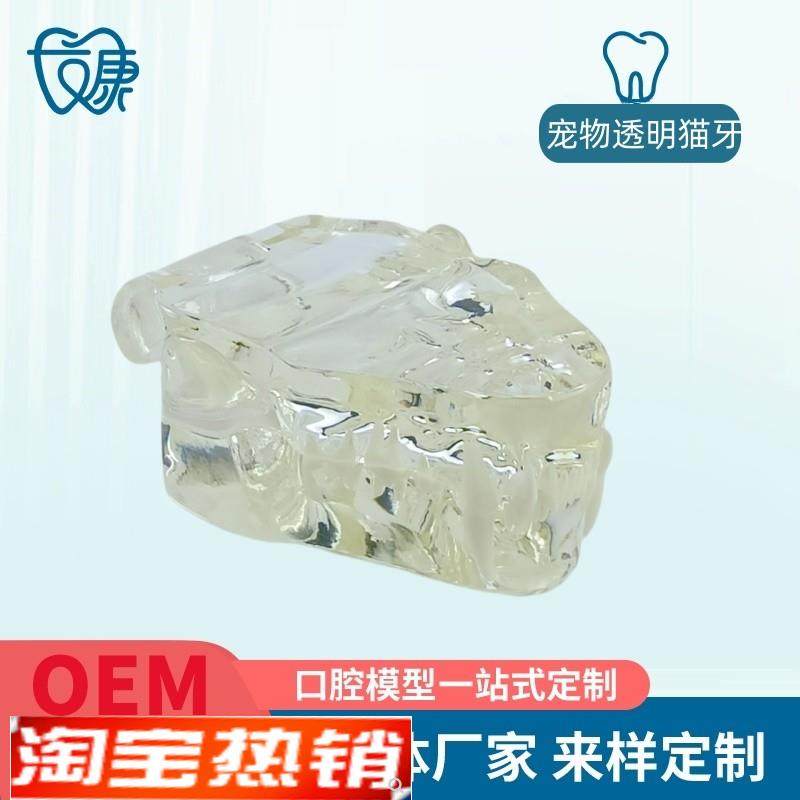 宠物牙齿模型透明狗牙猫牙口腔犬牙教G学演示动物倒模具猫兽医包,美容美体仪器,口腔护理设备礼盒,淘宝优惠券,粉丝福利购,淘宝优惠卷