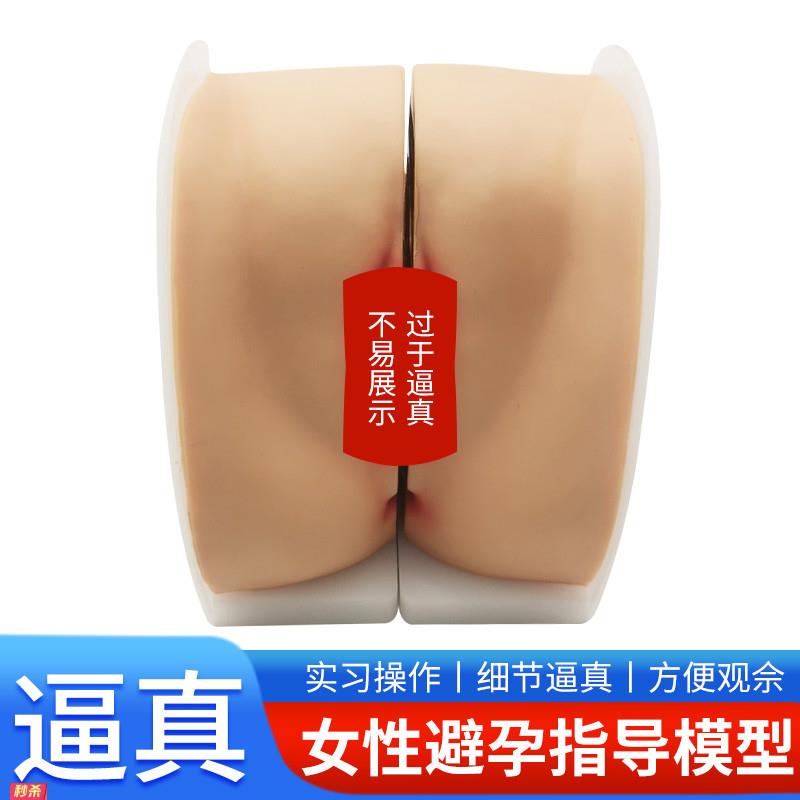 女性生殖器模型宫颈子宫阴道卵巢妇科检查生殖私密教学1比1