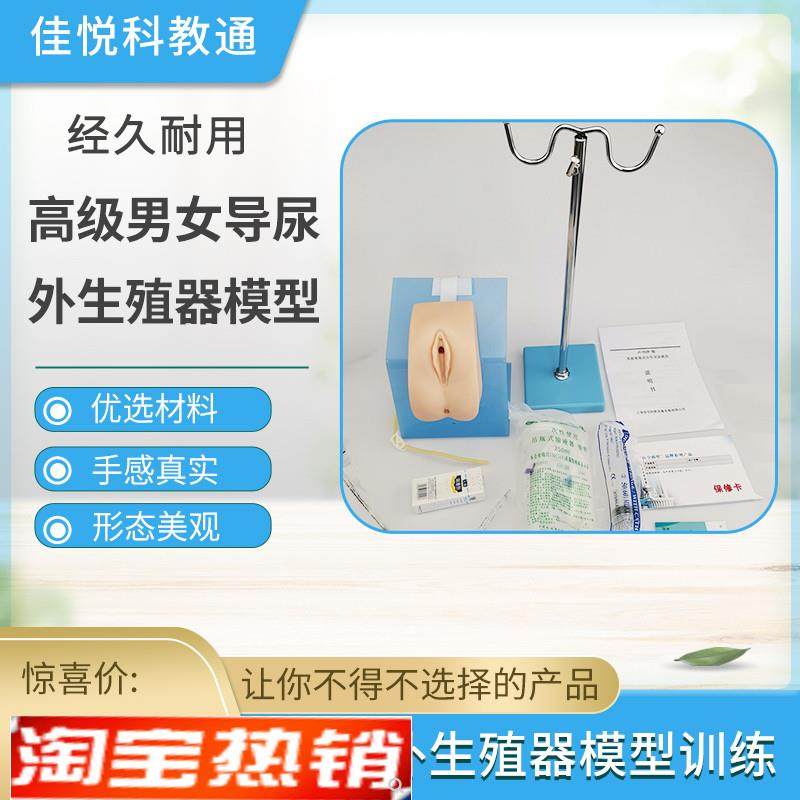 男女性护理导尿外生殖器模型练习模具导尿训练模型X整体导尿培训