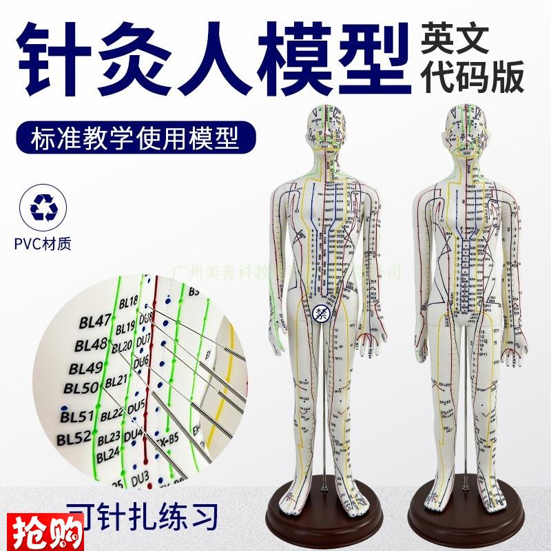 英文版穴位模型软胶可扎针练习z针灸人人体经络穴位中医全身模特