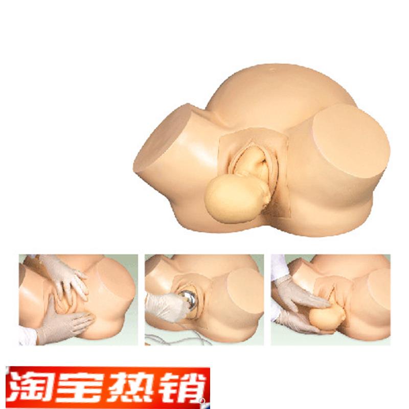 高级分娩助产难产训练u模型妇幼高级训练模型助产练习模具