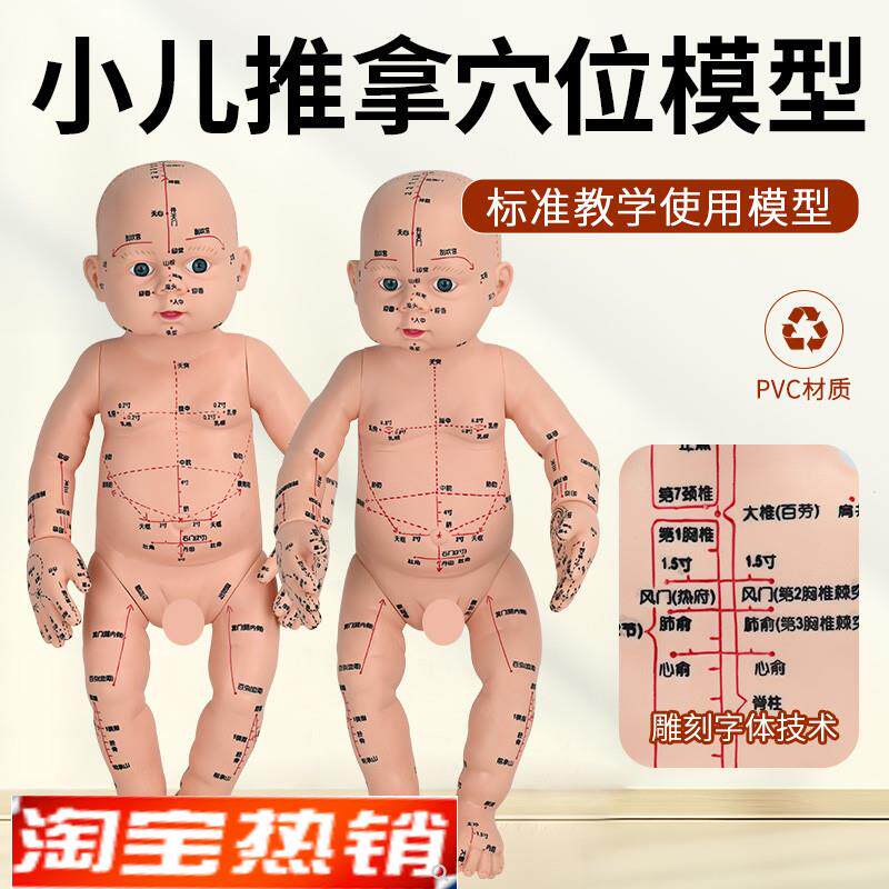 婴儿人体模型儿h童娃娃人体模型针灸中医通用穴位小儿推拿仿真模