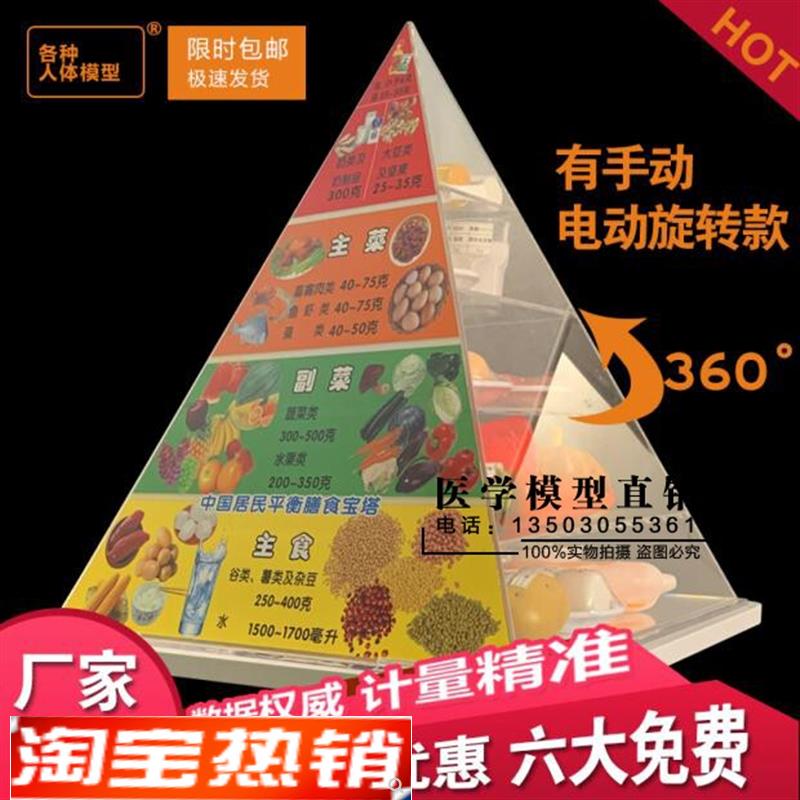 2025中国g居民平衡膳食宝塔模型健康食物营养金字塔仿真食品模型