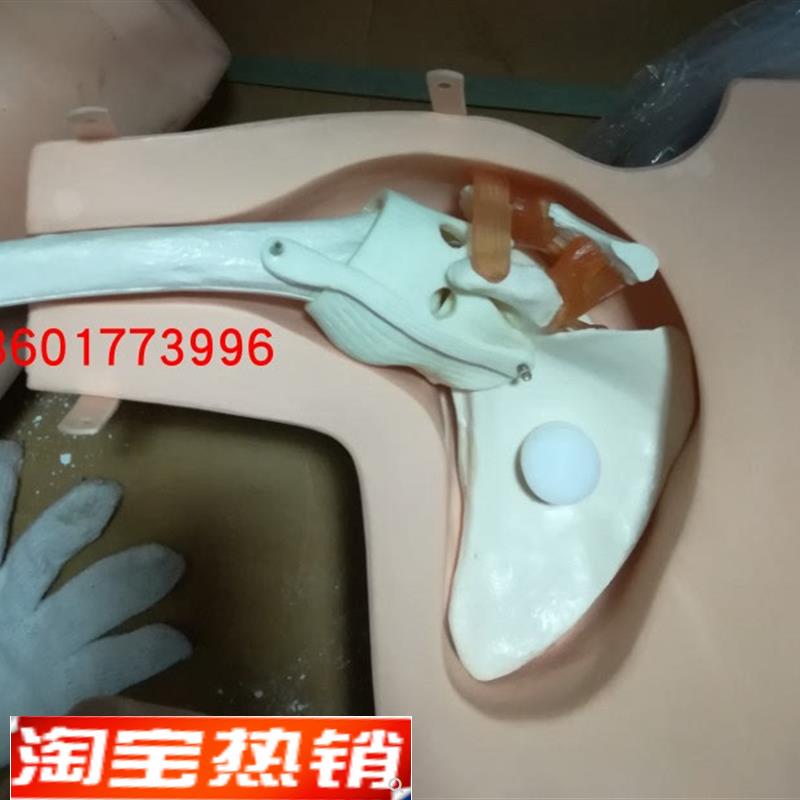 肩关节镜c检查模型肩关节镜检查手术操作训练模型