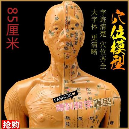 中医针灸穴位图人体模型教学85男全身十二经络小皮人Y针灸穴位模