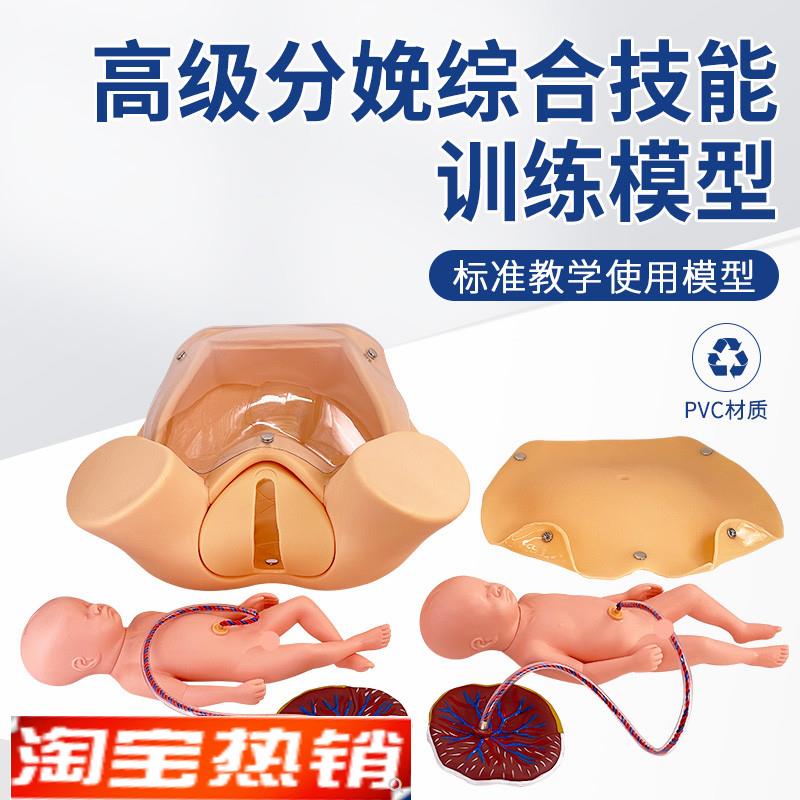 高级分娩综合技能训练模型分娩教具妇产科助产S示教孕妇分娩模型