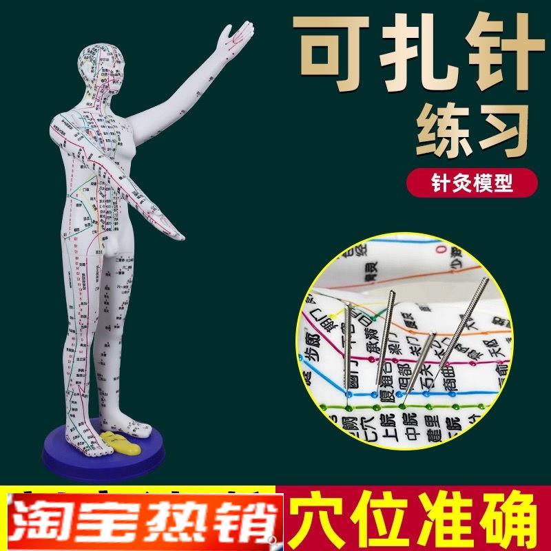 董氏奇穴人体模型仿真大号中医A针灸可扎针十二经络铜人全身穴位