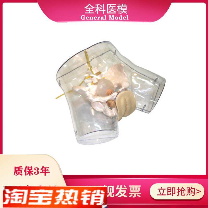 透明刮宫模型护理导尿人工r流产妇科阴部内部解剖观察模型GM/FT32,文具电教/文化用品/商务用品,模拟人,淘宝优惠券,粉丝福利购,淘宝优惠卷