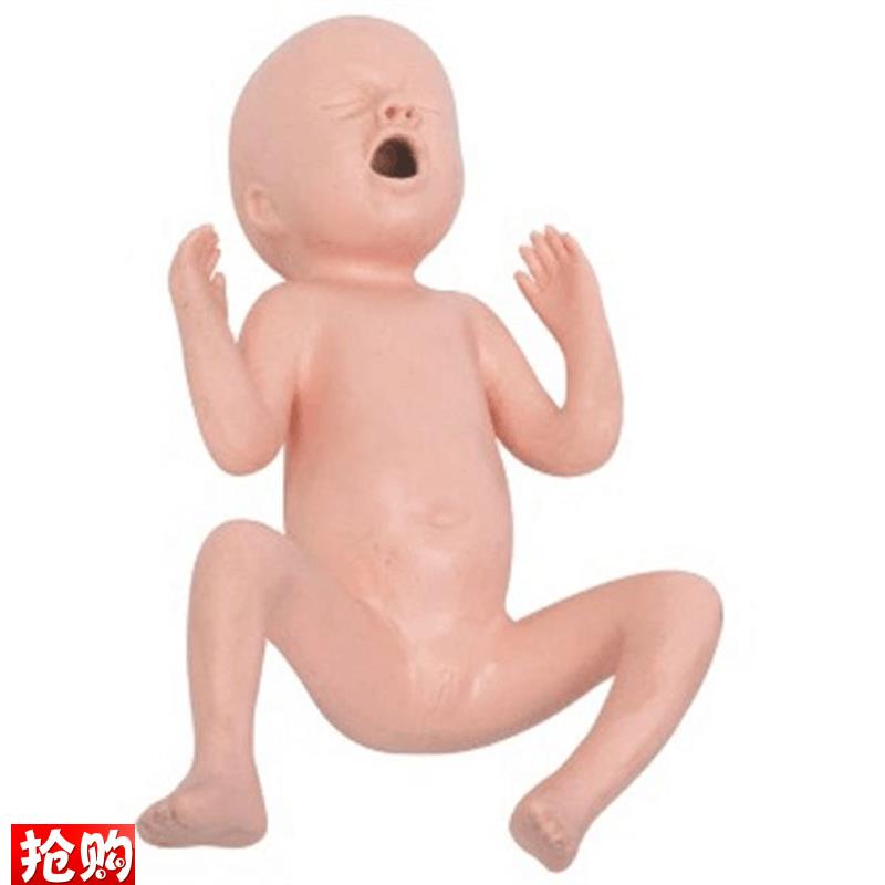 24周早产儿护理模型初生B儿早产儿模型出生婴儿模型