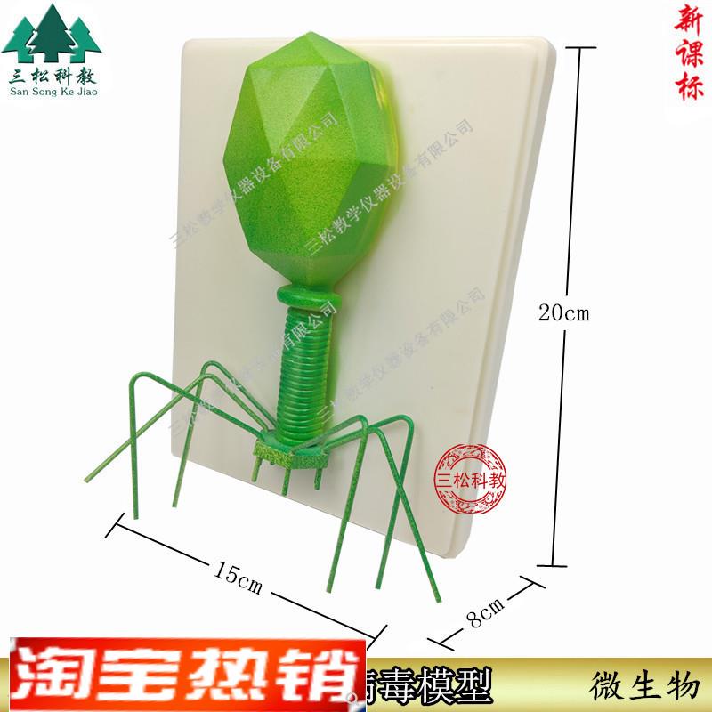 噬菌体病毒模型病毒结构模型生物教学模Y型教学模型