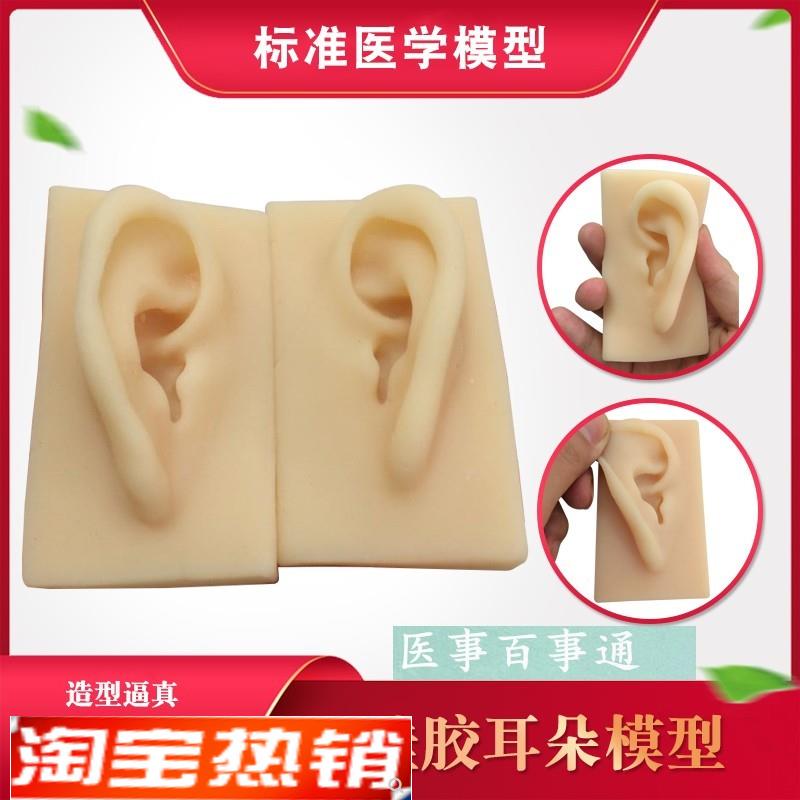硅胶耳朵模型软TPR耳朵模v型厂家供应仿真人耳助听展示道具包邮