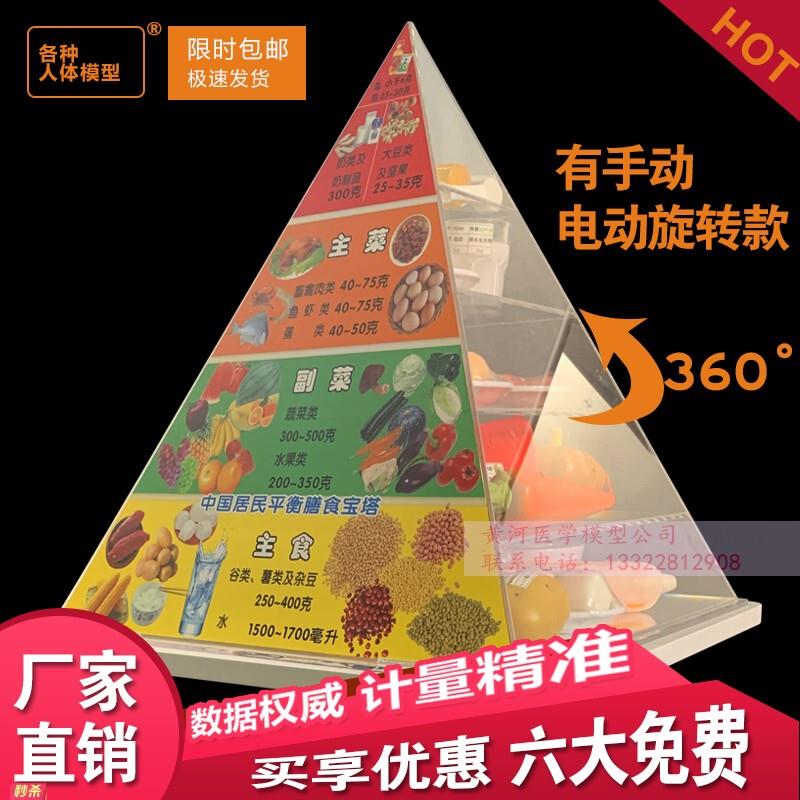 中国居民平衡膳食宝塔模型健康饮食金字塔彷真教学道具