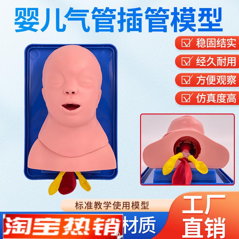 新生儿气管插管模型o小儿急救训练假人模特婴儿气管插管练习模具