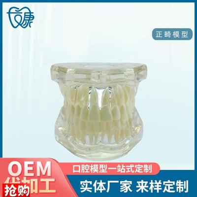 牙齿模型病理修复可拆卸正畸口腔病理牙模型牙科医Y患活动沟通