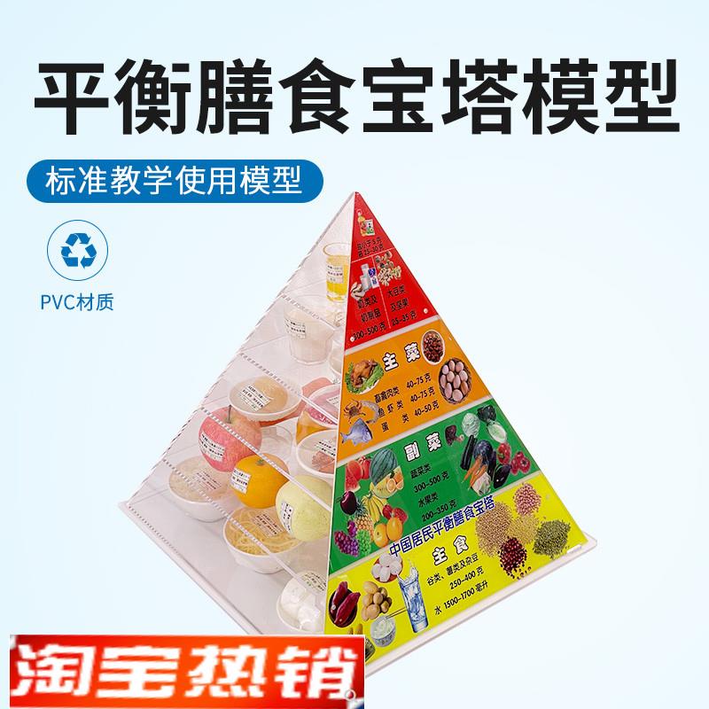 2022新版膳食宝塔中国居民膳食平衡宝塔膳食P金字塔营养食物模型
