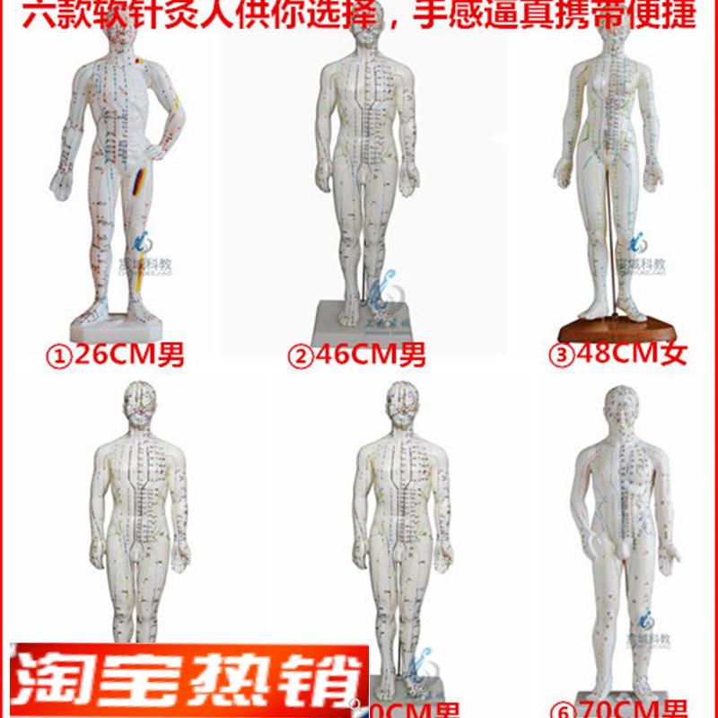 超清人体针灸穴位模型经络通铜人刻F字中医教学人体模型男女小人