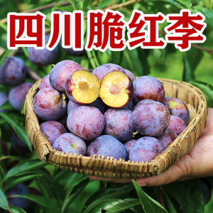 【脱骨李】四川脆红李小脆红李子应季水果黄肉脱骨非青脆李
