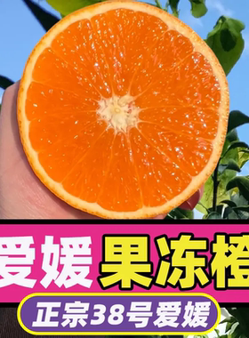 【爱媛38号果冻橙】正宗四川眉山爱媛果冻橙新鲜整箱升级套袋包邮