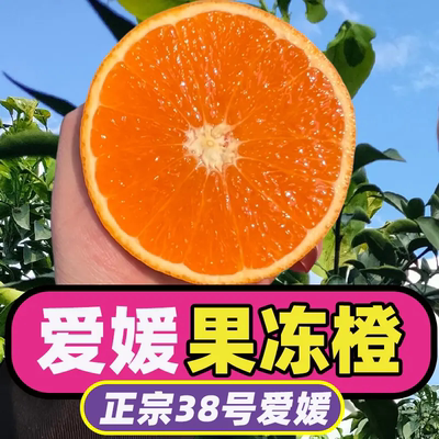 【爱媛38号果冻橙】正宗四川眉山爱媛果冻橙新鲜整箱包邮