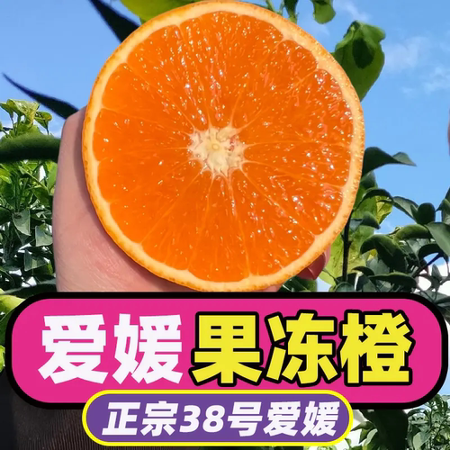 【爱媛38号果冻橙】正宗四川眉山爱媛果冻橙新鲜整箱升级套袋包邮